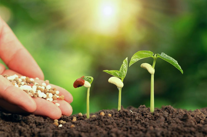 Science-and-definition-of-soil-biology