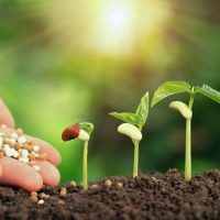 Science-and-definition-of-soil-biology